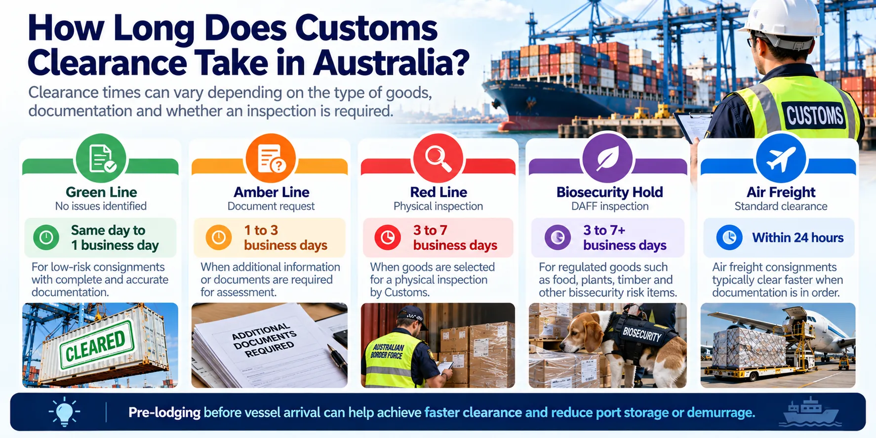 Infographic comparing customs clearance pathways for green, amber and red lanes, biosecurity holds and air freight.